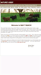 Mobile Screenshot of naturesbeef.net